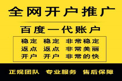 百度推广实战技巧：案例详解
